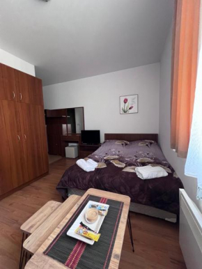 Kalina Apartment's in Bansko